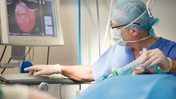 Radiologist using computer.