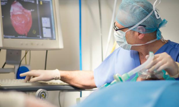 Radiologist using computer.